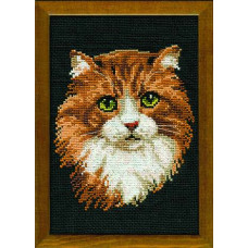 765 Рыжий кот